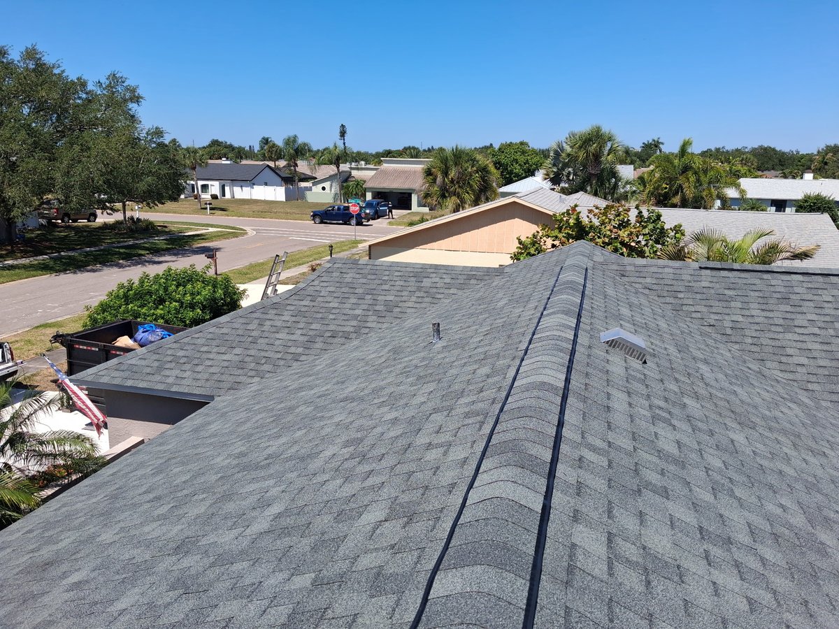 Architectural shingle roof replacement with Florida neighborhood backdrop in Sarasota